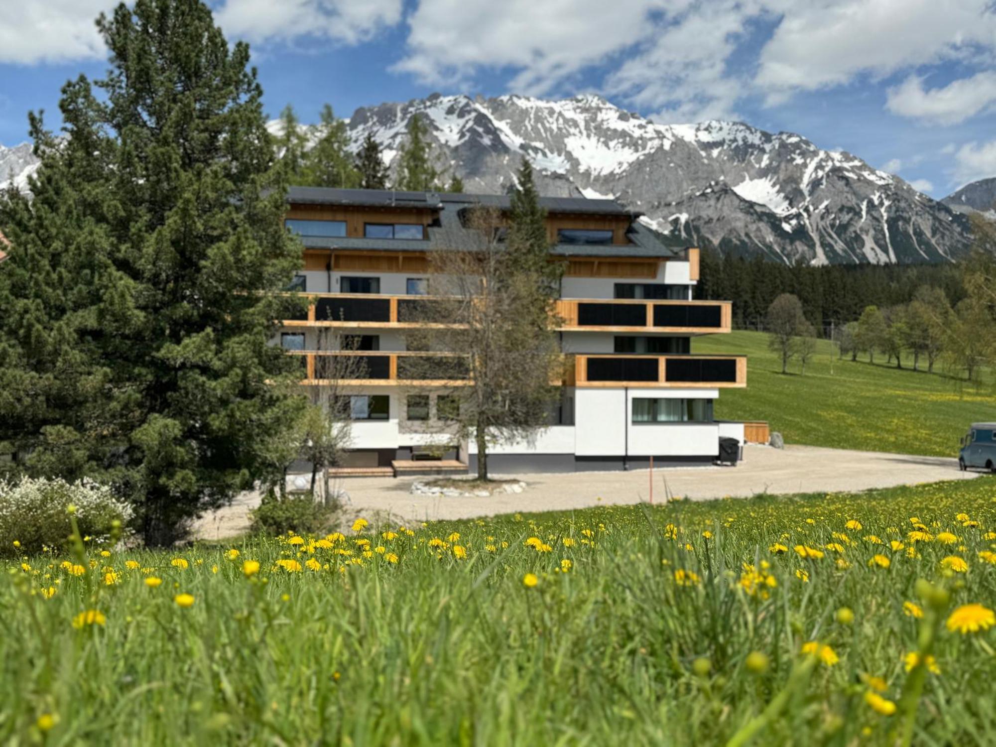 Waldrand Ramsau am Dachstein
